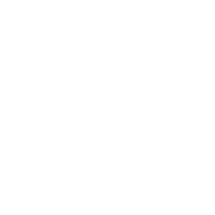 Seat logo
